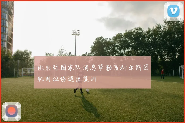 比利时国家队消息萨勒马科尔斯因肌肉拉伤退出集训