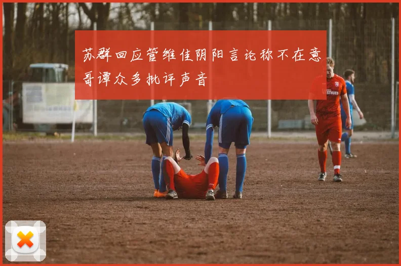 苏群回应管维佳阴阳言论称不在意哥谭众多批评声音