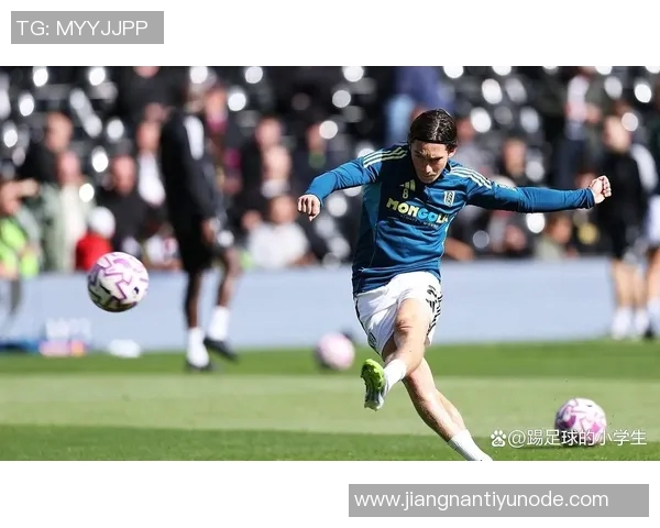 威尔逊谈富勒姆遭遇不公判罚希望未来能有所改善 威尔逊谈富勒姆遭遇不公判罚希望未来能有所改善