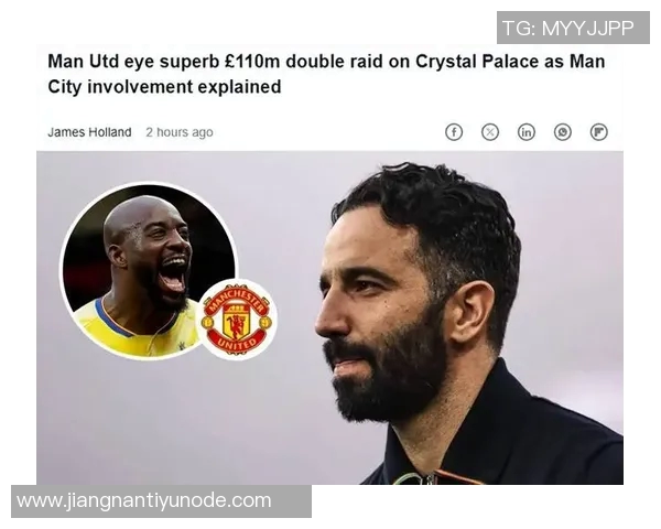 水晶宫冬窗计划引进博伊转会费预计达1300万英镑